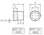 NPTF 1/4